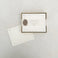 Paper Airplane Boxed Notes, Set of 6